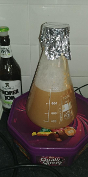 Yeast Starter.jpeg