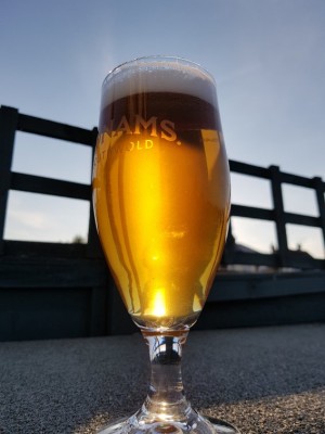 NZ Pale Ale.jpg