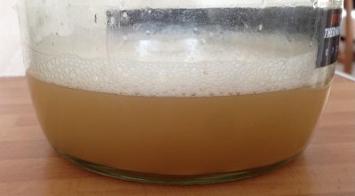 yeast2.jpg