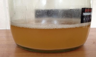 yeast1.jpg