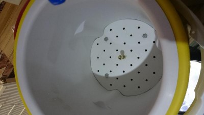 false bottom.JPG