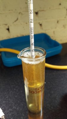 IMAG1609.jpg