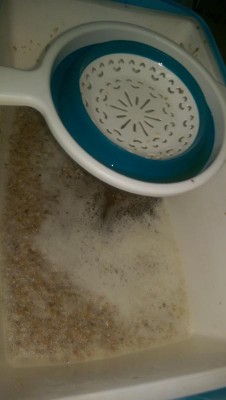 IMAG0644.jpg
