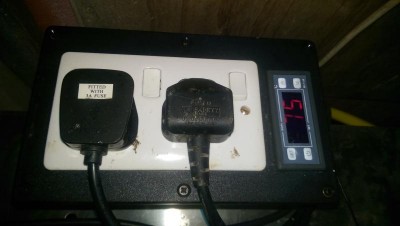 IMAG0650.jpg