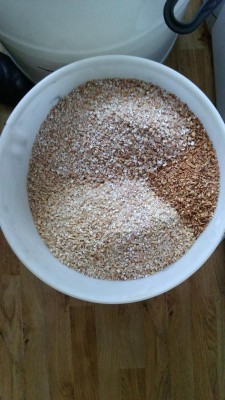 Grain.JPG
