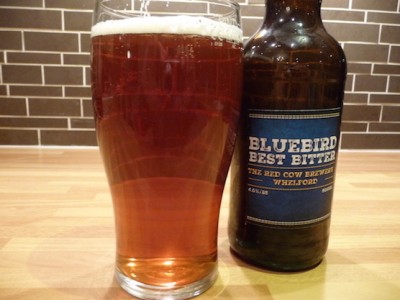 Bluebird extra small.jpeg