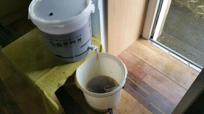 20160405_141409_resized.jpg