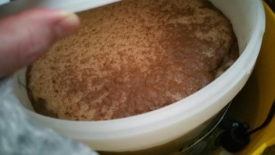 20160406_125529.jpg