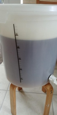 In the Fermenter.jpg