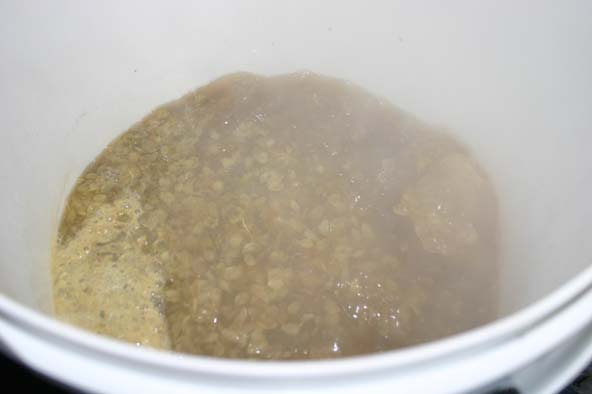 Hops Added.jpg