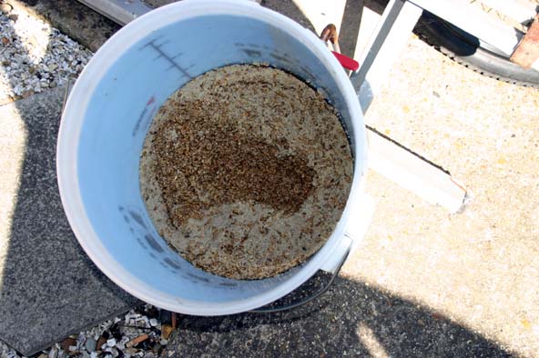 Empty mash tun.jpg