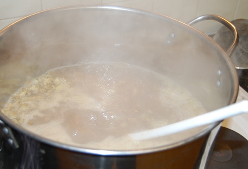 boil + first hops.JPG