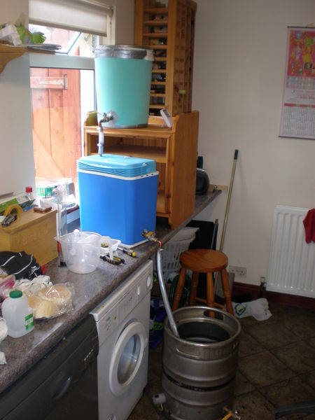 All Grain 1-13.jpg