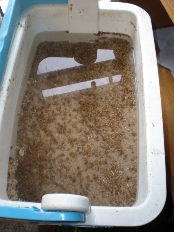 All Grain 1-9.jpg