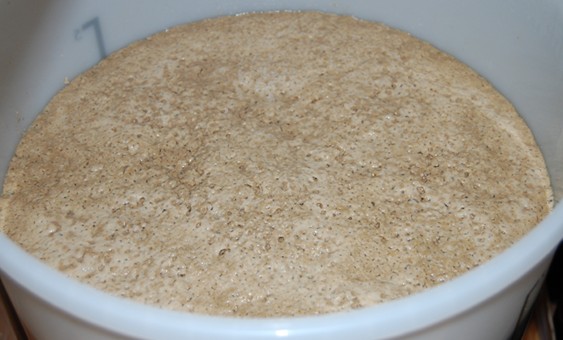 22 Yeast Head.JPG