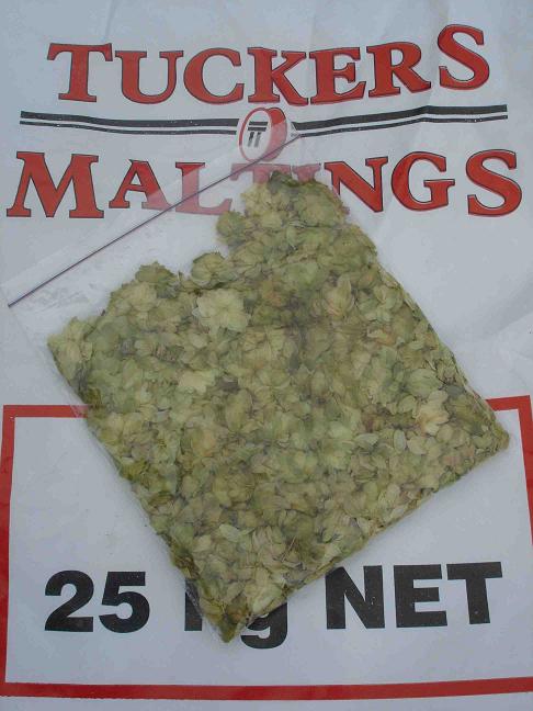 Hops.JPG