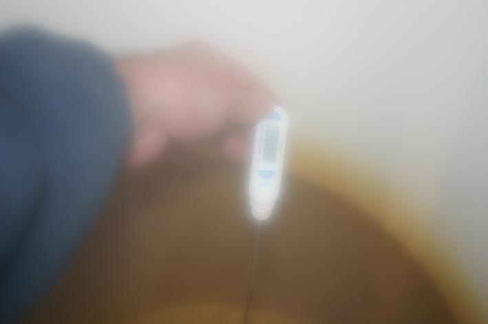 batch sparge temperature measurement 1