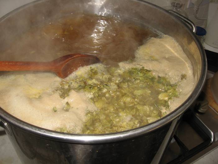Home Brewing Boiling Wort with Hops