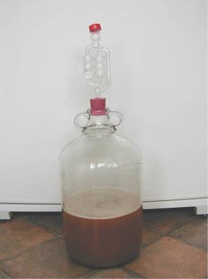 Fermenting homebrew starter