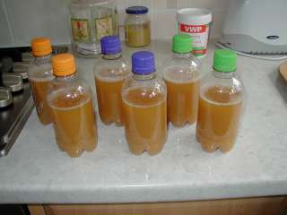 Split homebrew beer yeast starter
